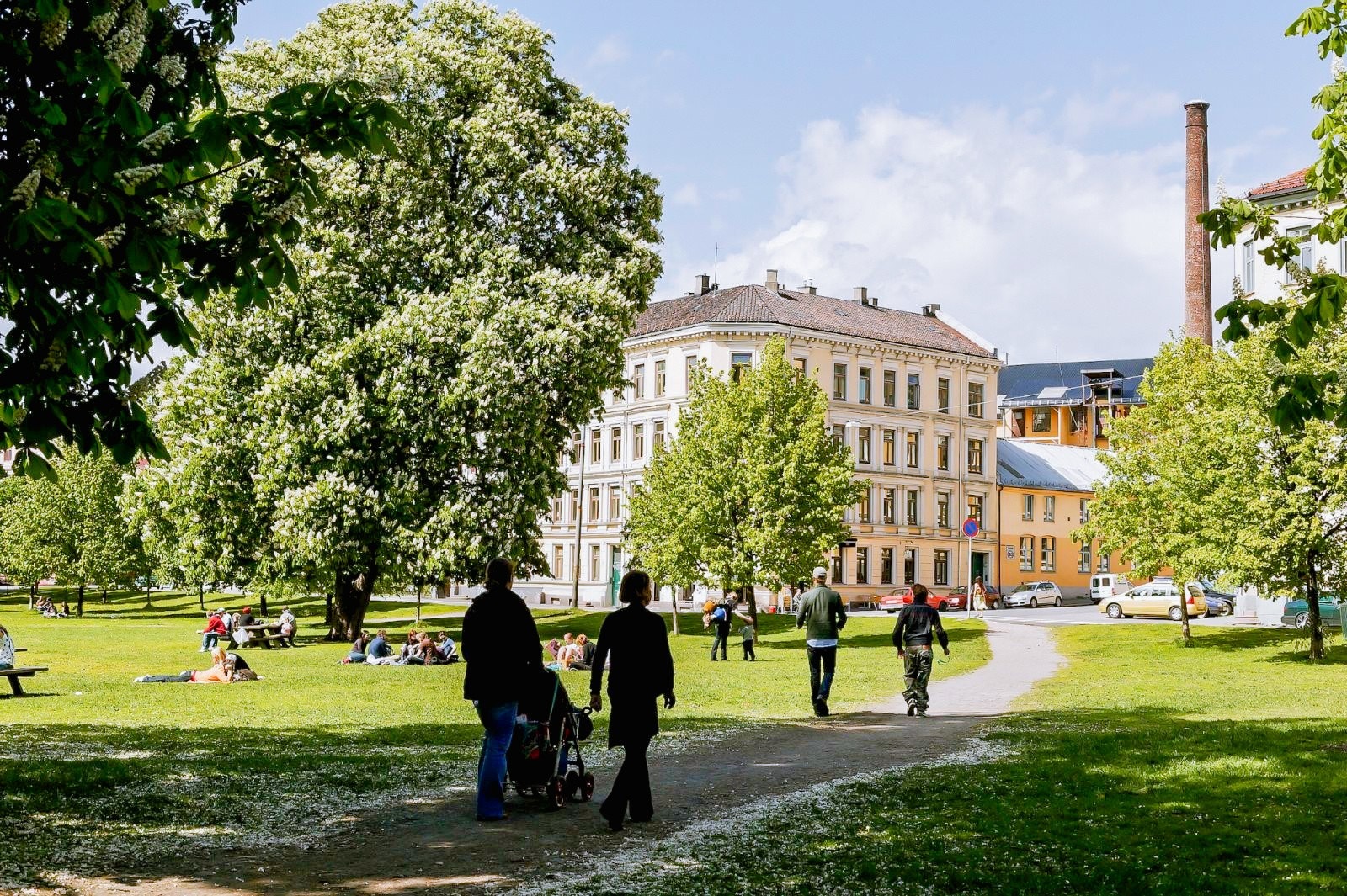 Nærområde: Gangavstand til Sofienbergparken og andre grøntområder Galleribilde