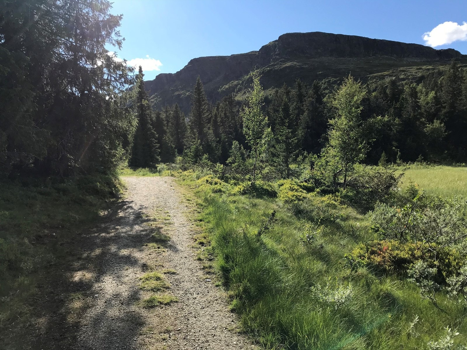 Bånseterkampene sett nedenifra. Her er det tursti inn til tre vann. Her kan man fiske og trille med vogn. Det er også gapahuk med grillplass. Galleribilde