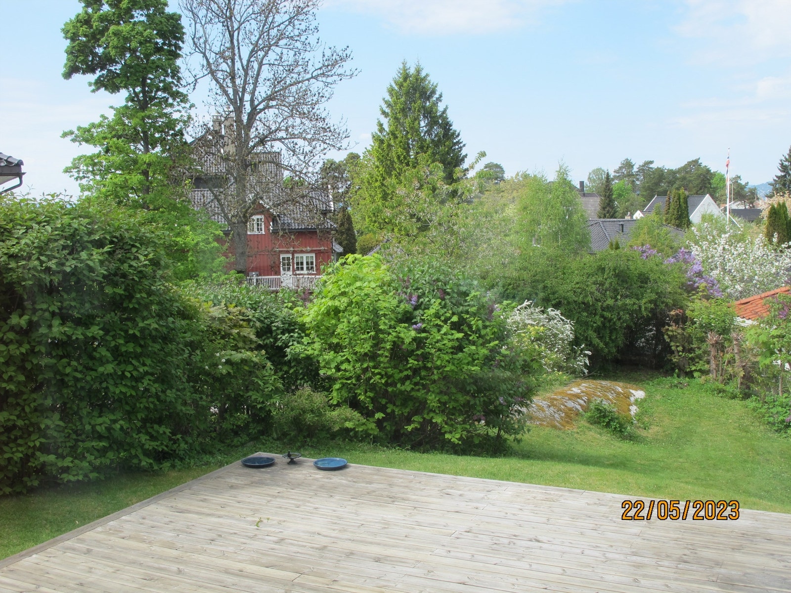 Selgers sommerbilde Galleribilde