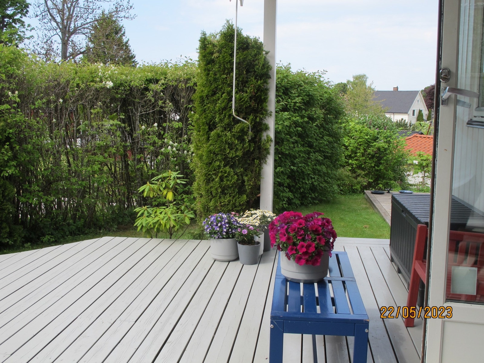 Selgers sommerbilde Galleribilde