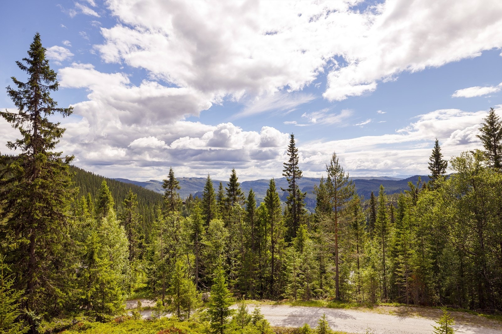 Utsikt. Galleribilde