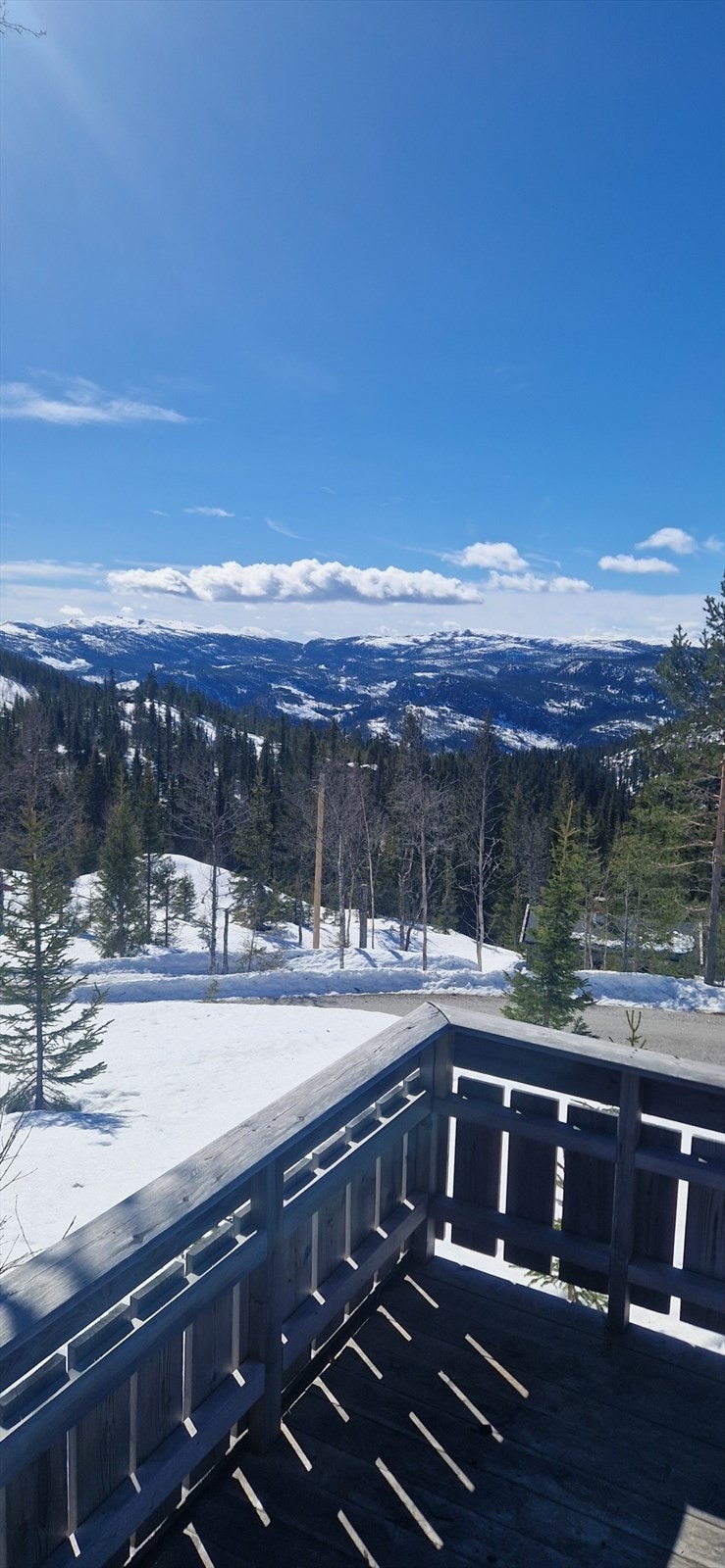 Resized_2.jpg Galleribilde