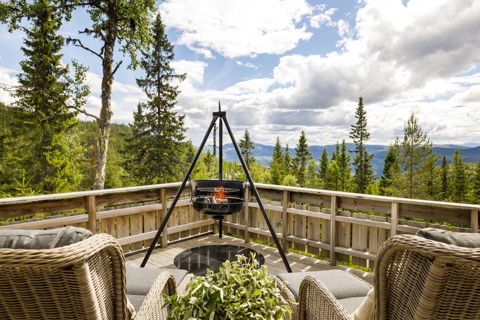 Terrasse. Galleribilde