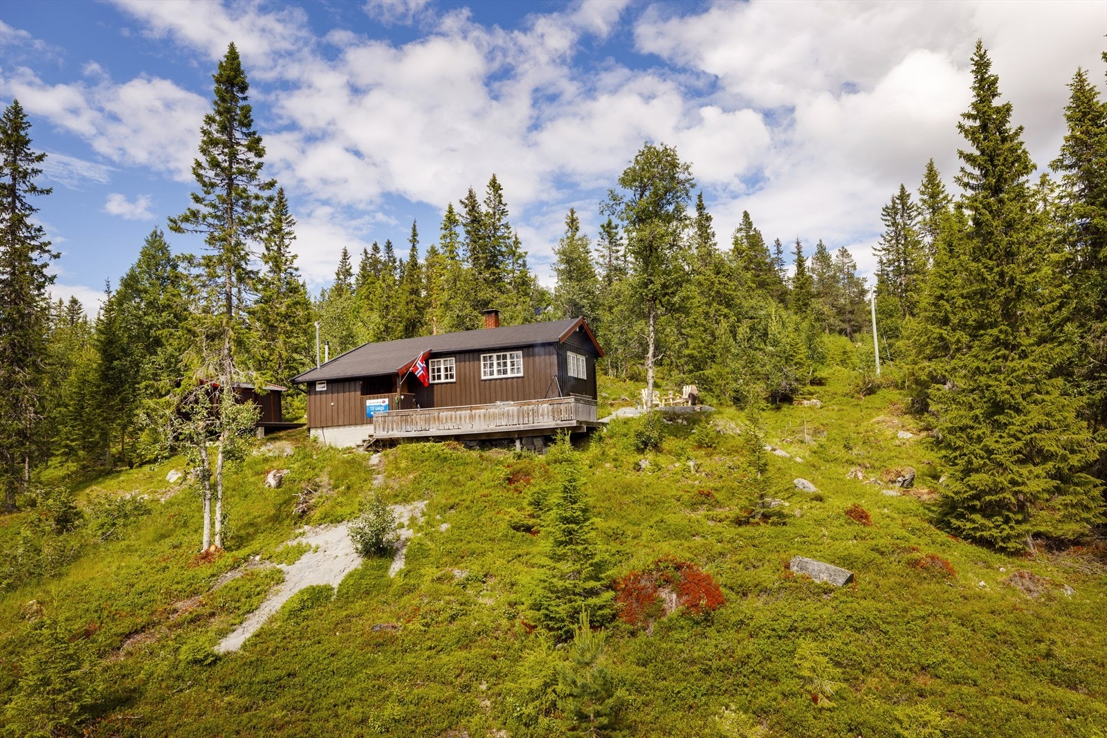 Fasade. Galleribilde