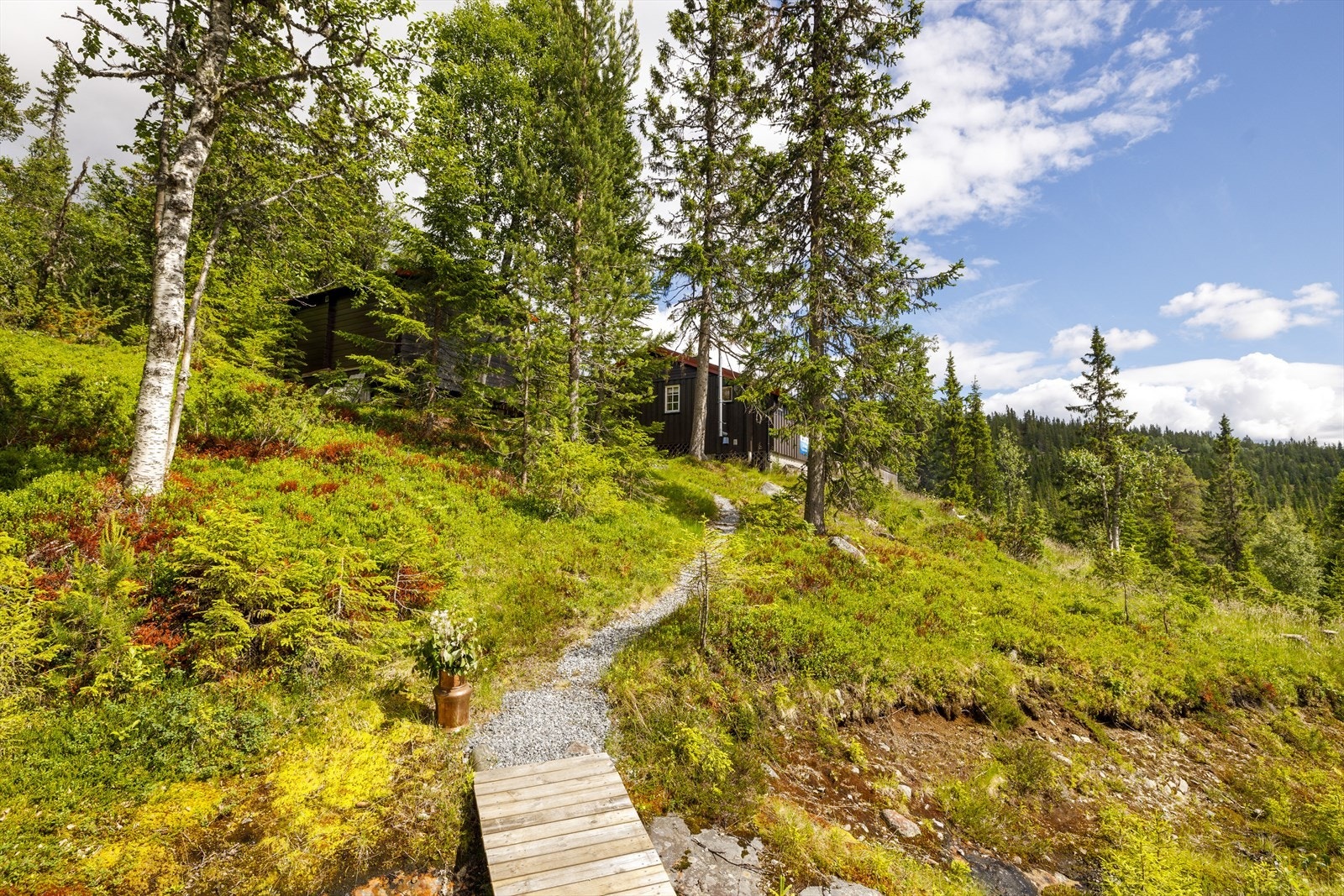 Fasade. Galleribilde