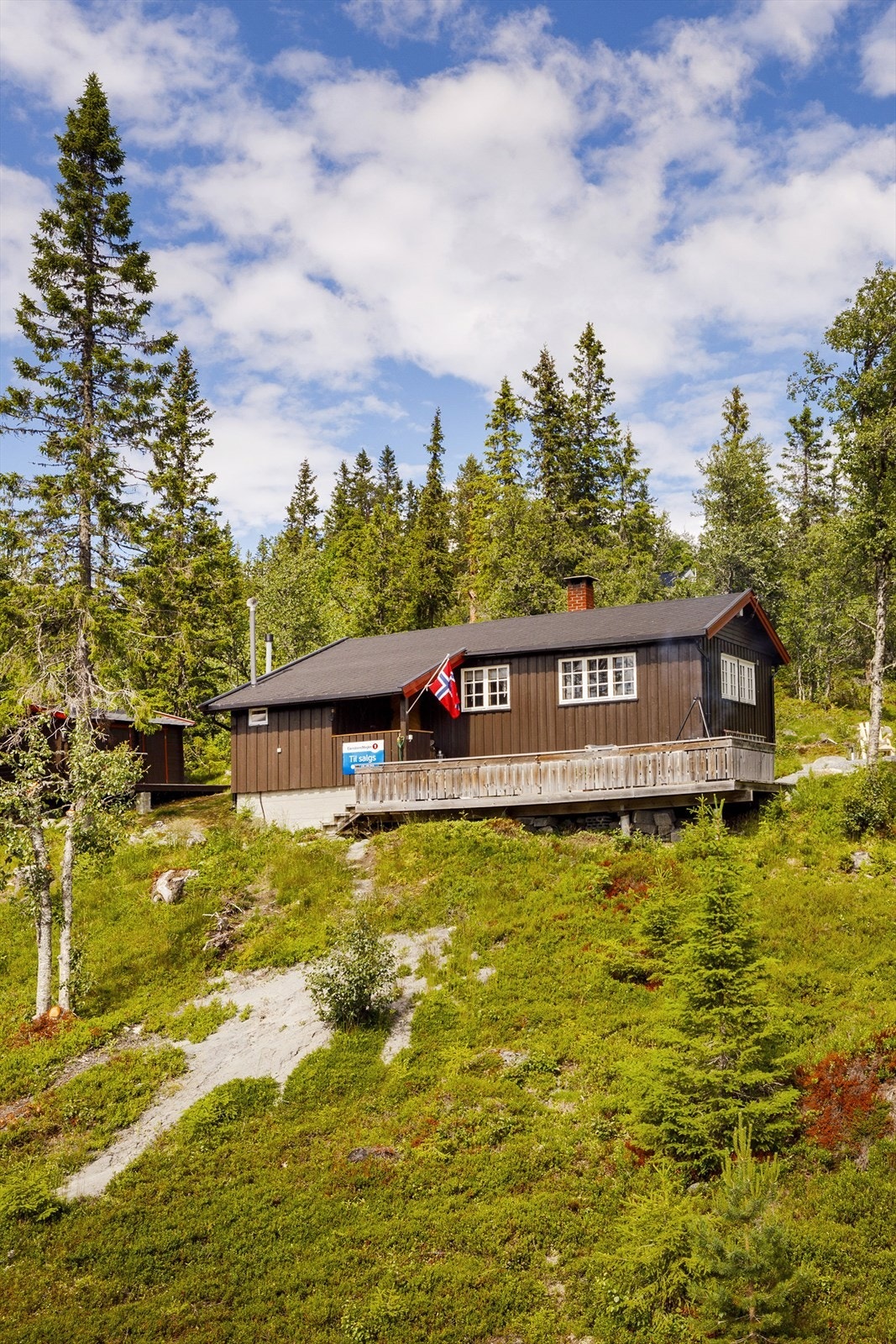 Fasade. Galleribilde