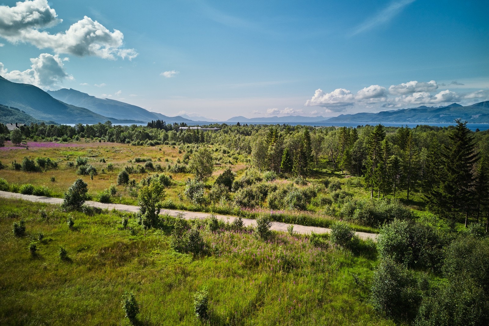 Det er ca 10 km til Sortland. Galleribilde