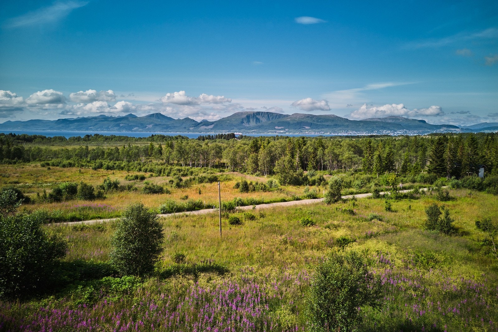 Kort vei til skole og barnehage i Sigerfjorden Galleribilde