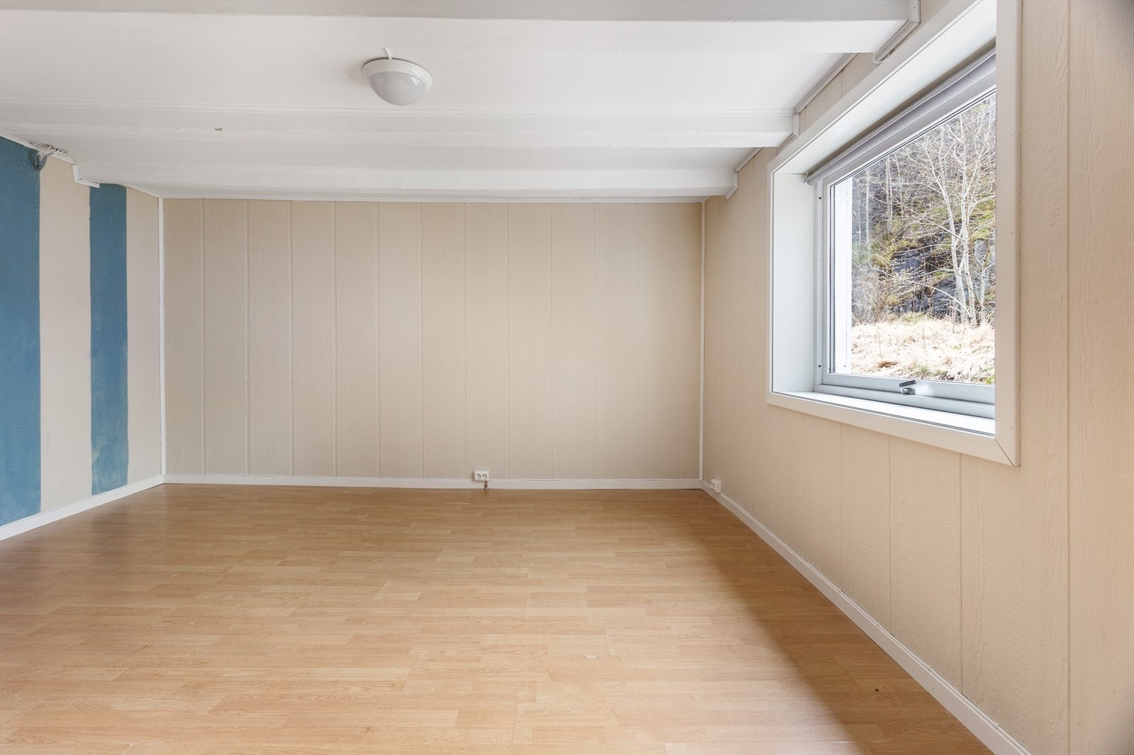 Det er god plass til ønskelig møblering. Galleribilde