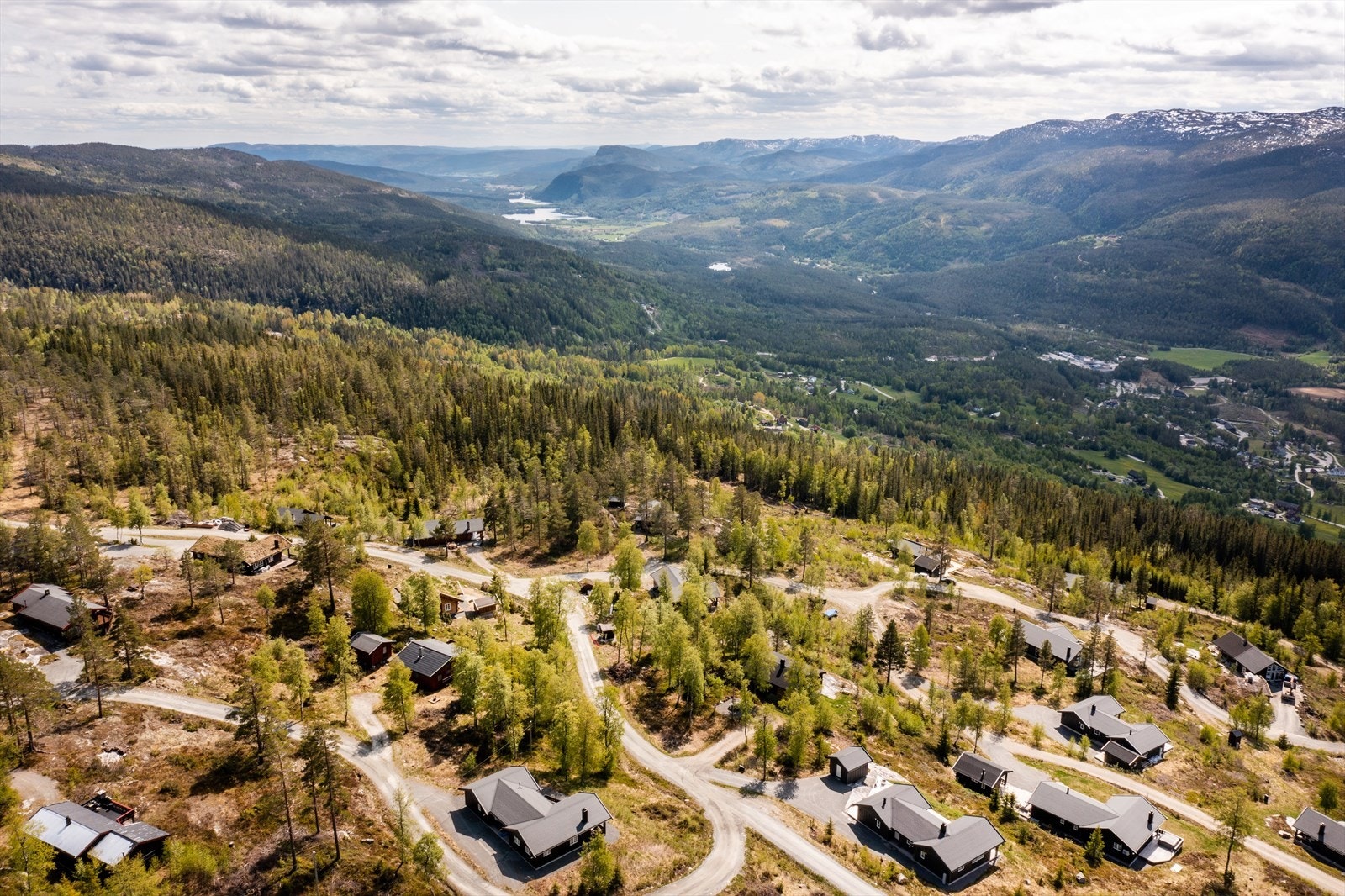 Nærområde. Galleribilde