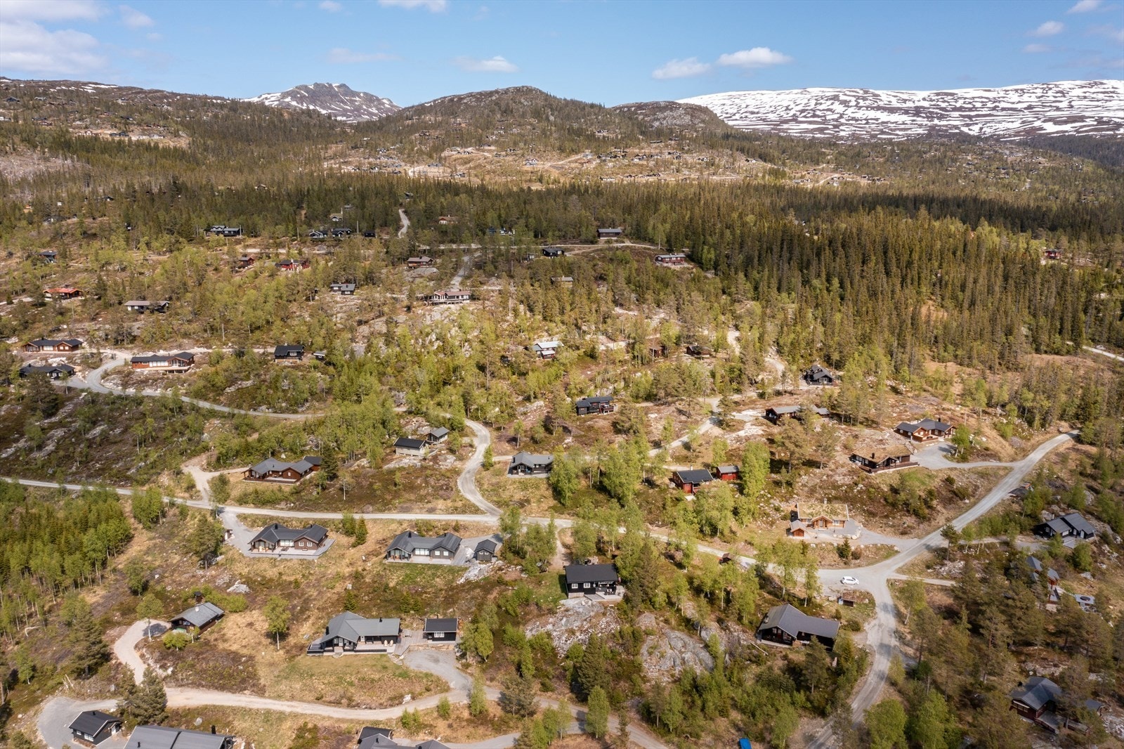 Nærområde. Galleribilde