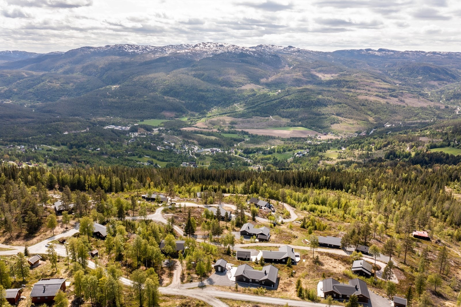 Nærområde. Galleribilde