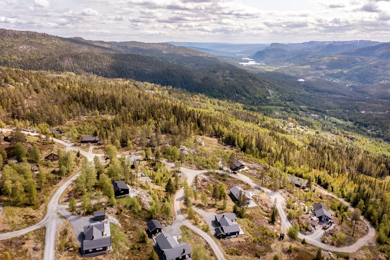 Nærområde. Galleribilde