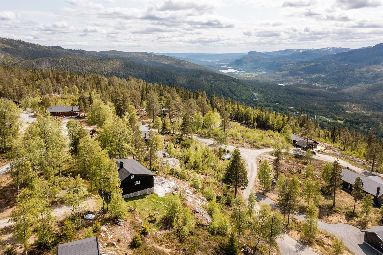 Nærområde. Galleribilde