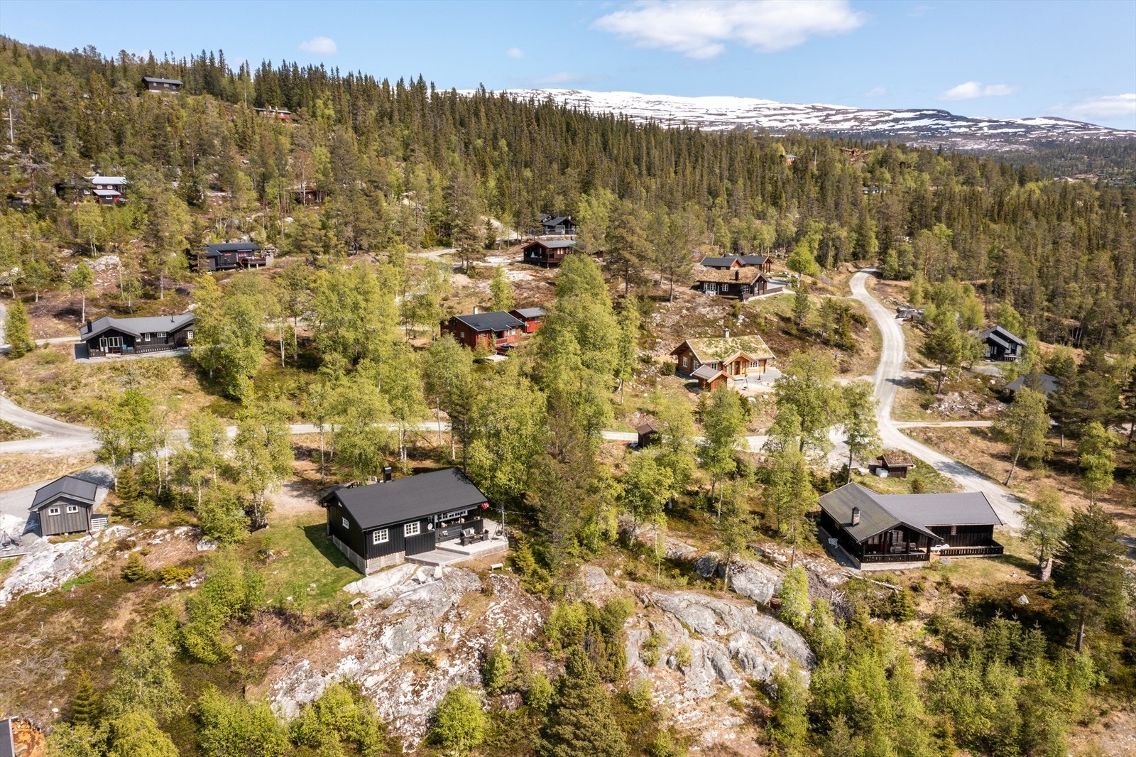 Nærområde. Galleribilde