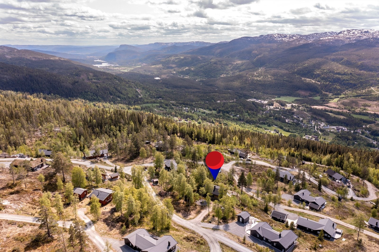 Nærområde. Galleribilde