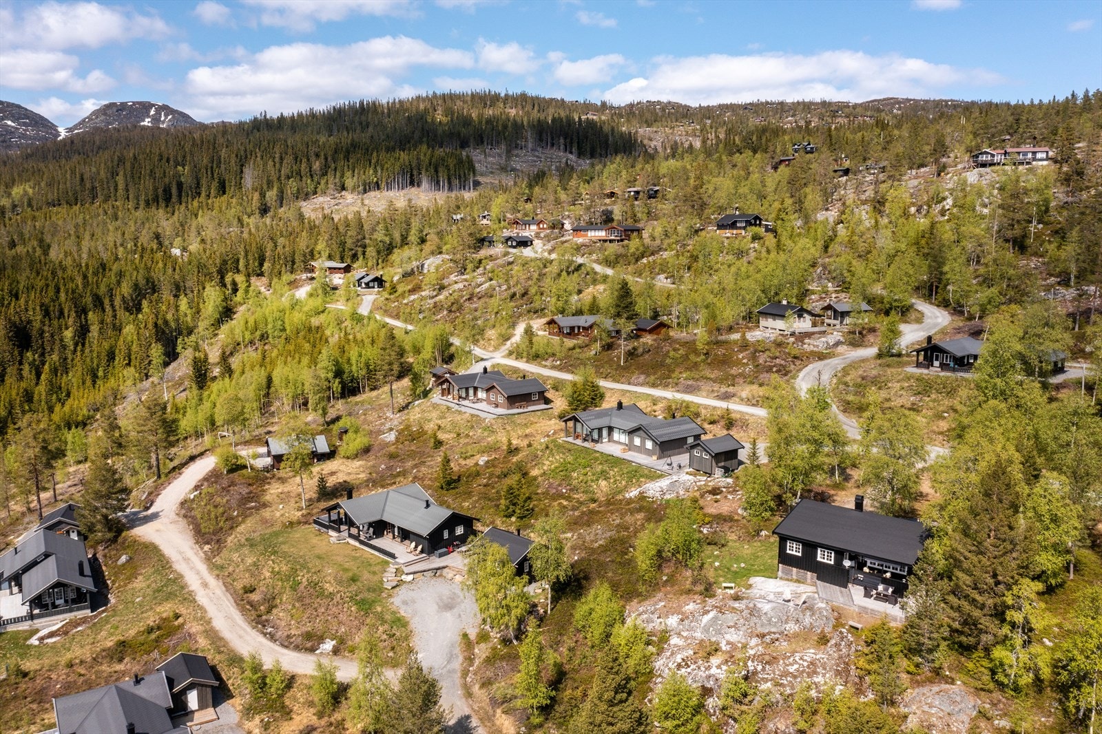 Nærområde. Galleribilde