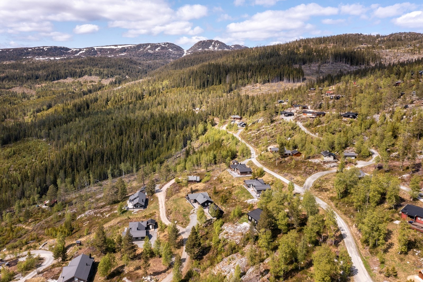 Nærområde. Galleribilde