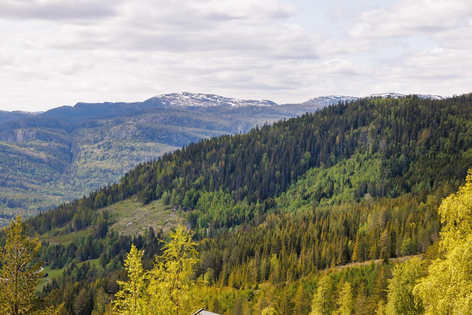 Utsikt. Galleribilde