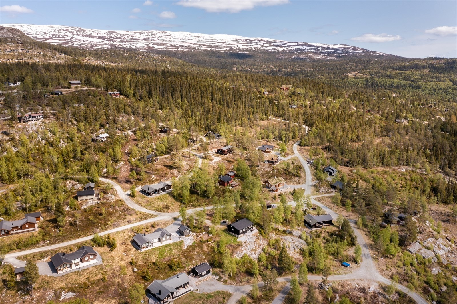 Nærområde. Galleribilde