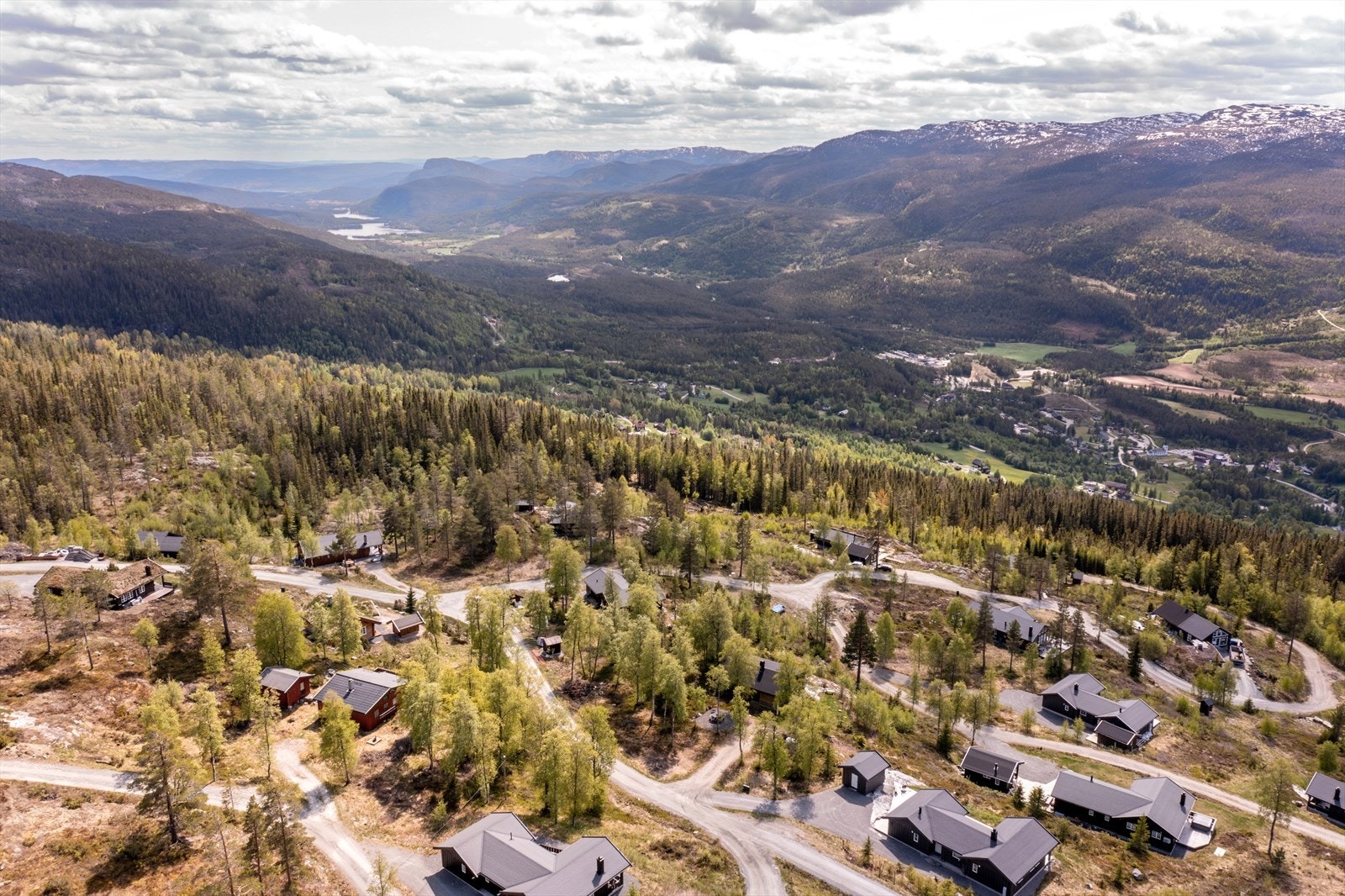 Nærområde. Galleribilde