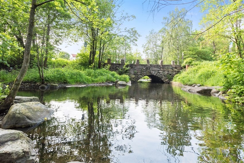 Frodige Alnaelva. Galleribilde