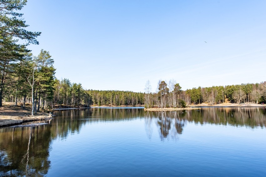 Lillomarka kan tilby både korte og lengre turer. Ski, sykkel eller bare bruk bena. Her fra vakre Vesletjern. Galleribilde