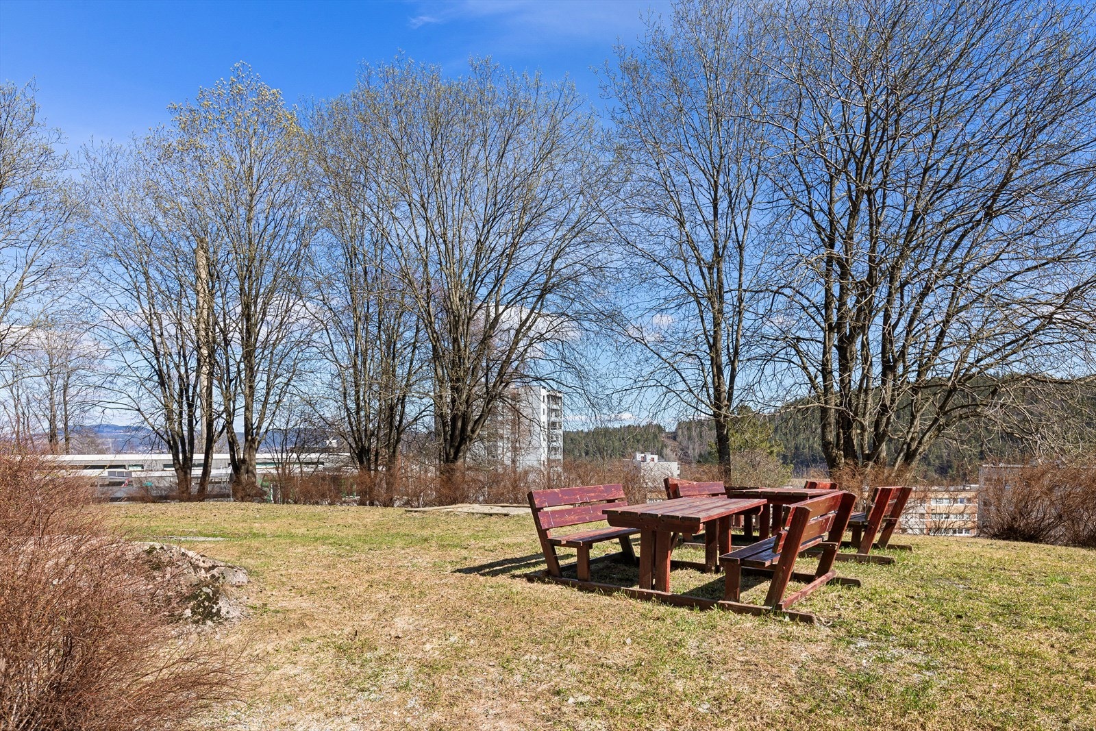 Rikelig med sittebenker til felles bruk for beboere i borettslaget Galleribilde