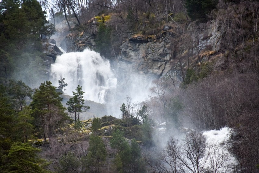 ... vill natur.... Galleribilde