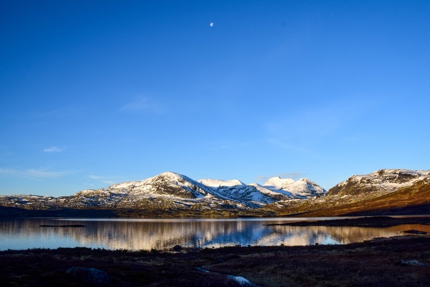 ... og sommer. Galleribilde