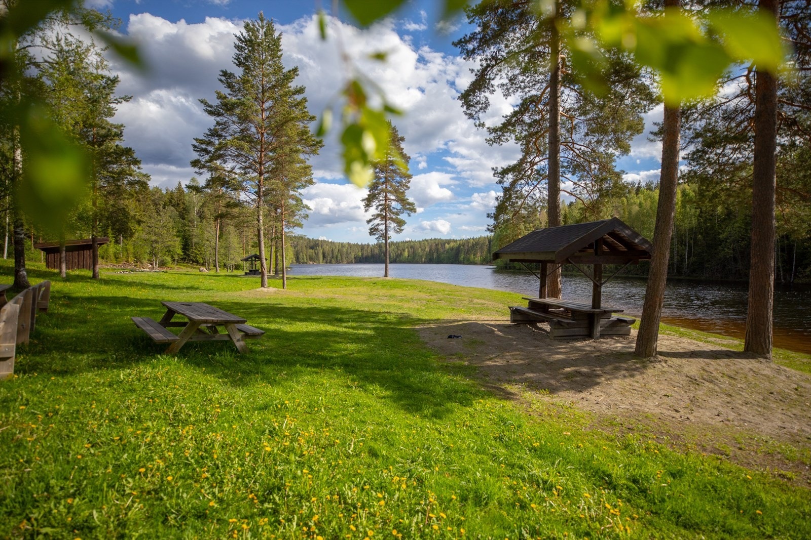Kort avstand til Veslesjøen i Nes, som er et populært badevann for hele familien! Galleribilde