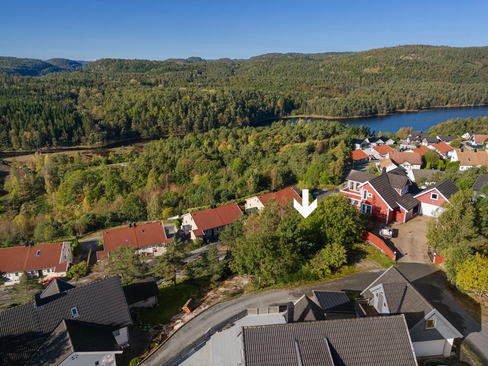 Tomten har noen trær på tomten Galleribilde