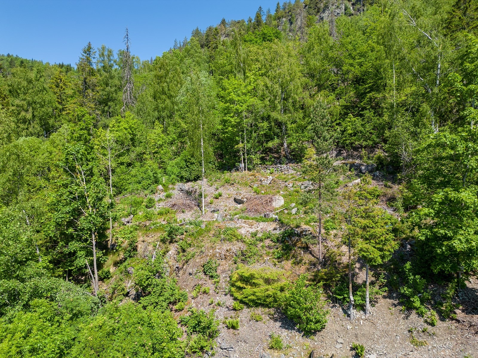 Naturen som nærmeste nabo. Det går en tursti på oversiden av eiendommen. Galleribilde