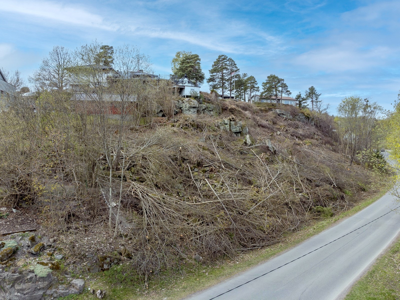 I forbindelse med salget har man kuttet mye busker og trær slik at det nå er mer luftig og åpent. Galleribilde