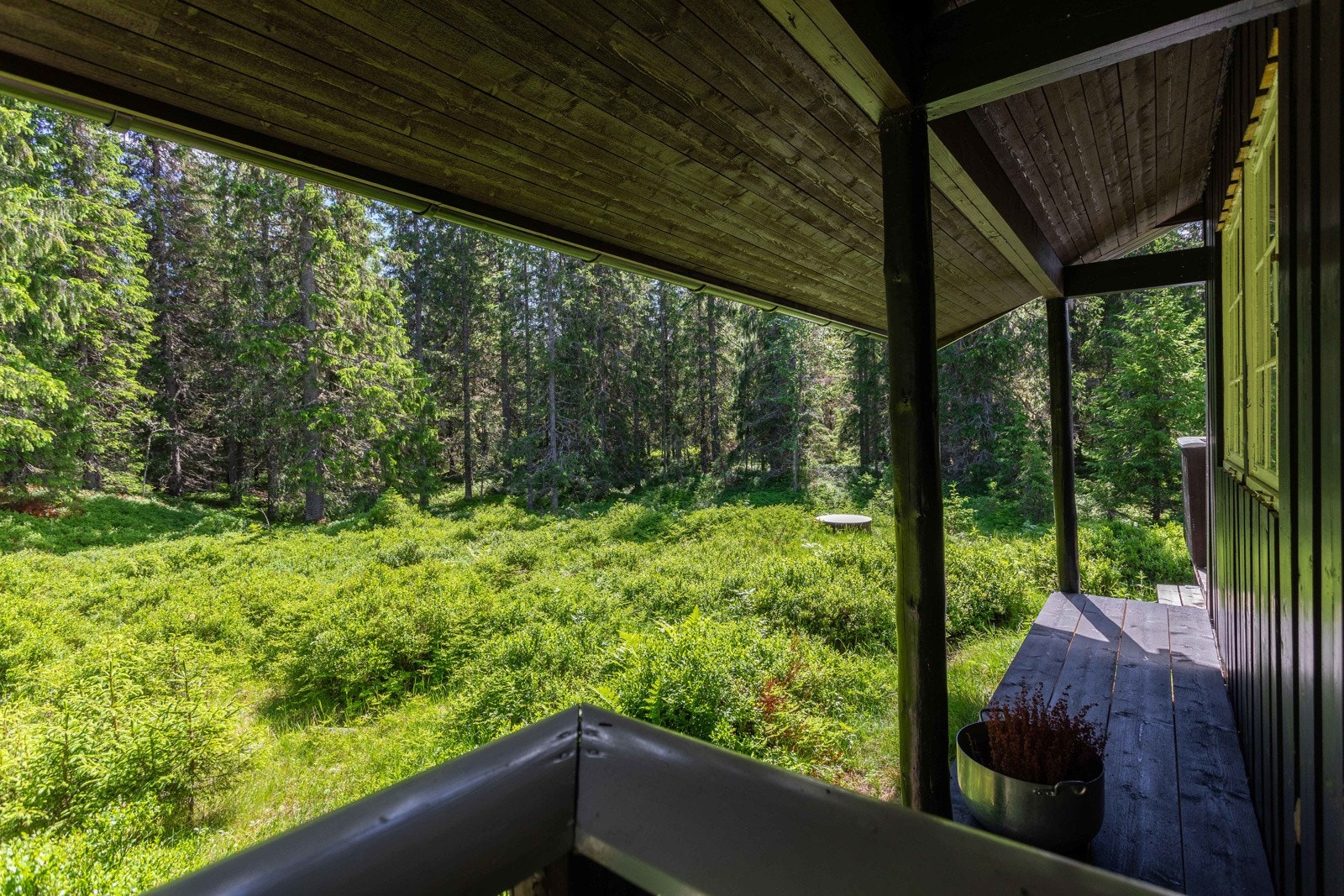 Utsyn fra terrasse mot skogen. Galleribilde