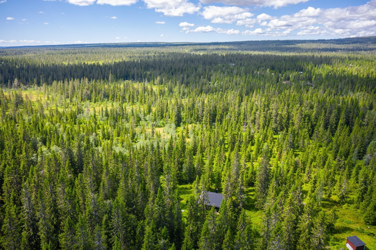 Umiddelbar nærhet til turterreng og flott natur. Galleribilde