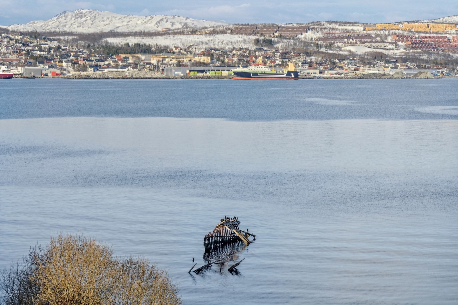 Fint turområde ved havet Galleribilde
