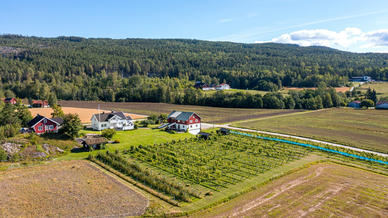 Unik småbruksdrøm til salgs i den frodige og solrike Fruktbygda i Telemark Galleribilde