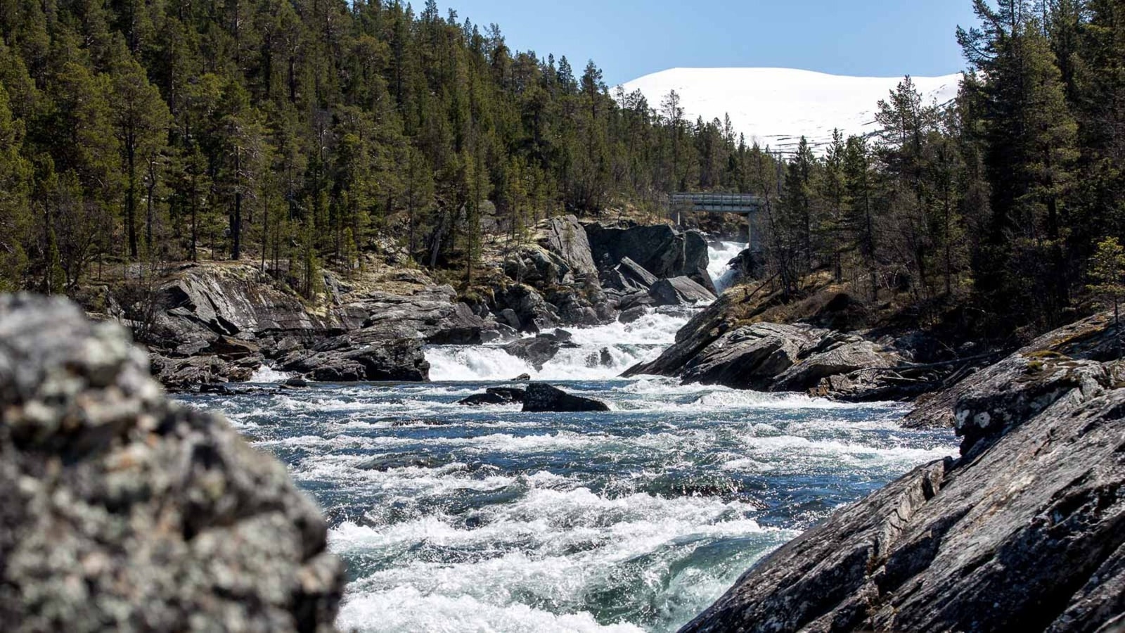 Elva Sjoa går i nærheten Galleribilde