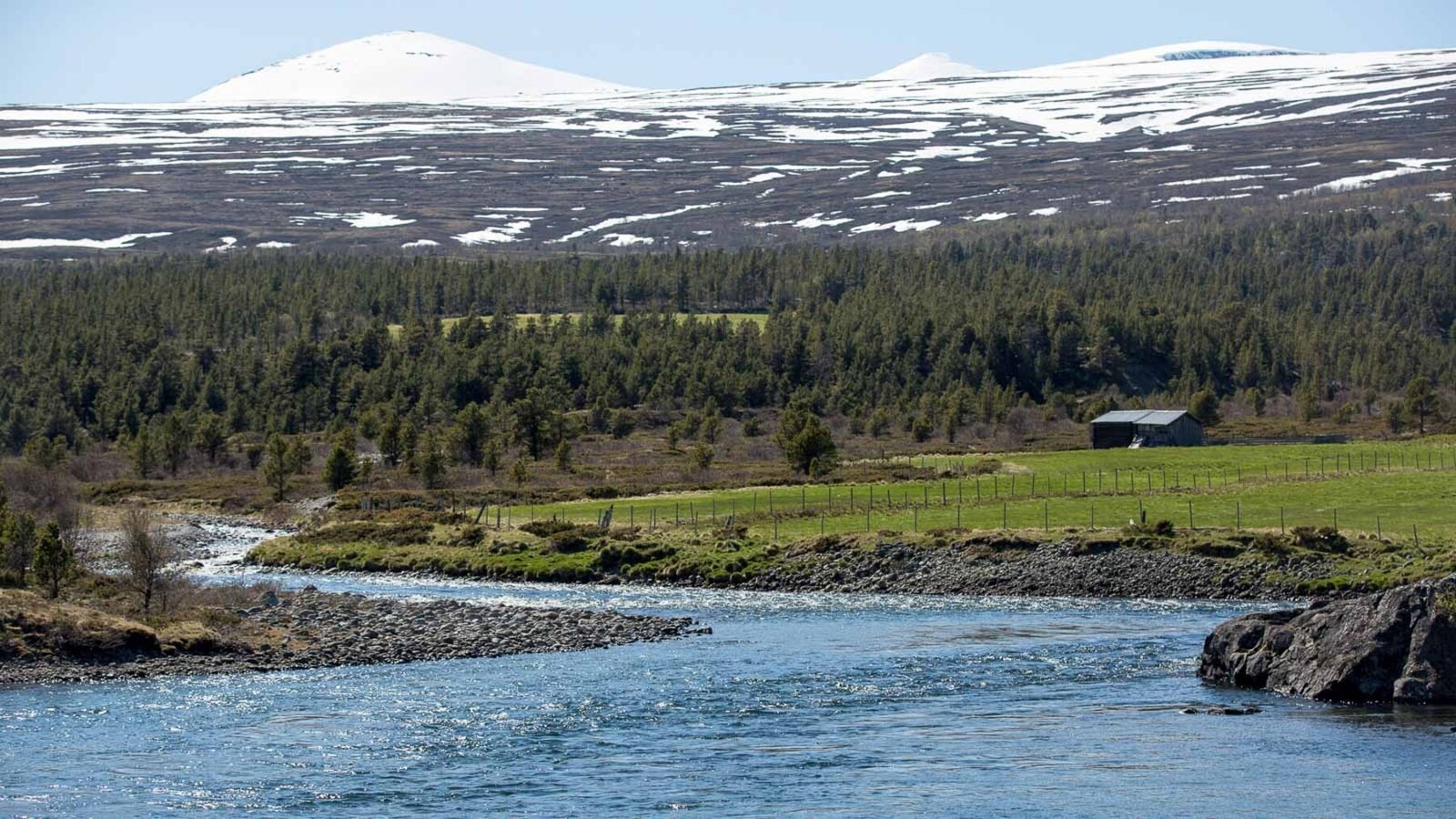 Flott landskap! Galleribilde