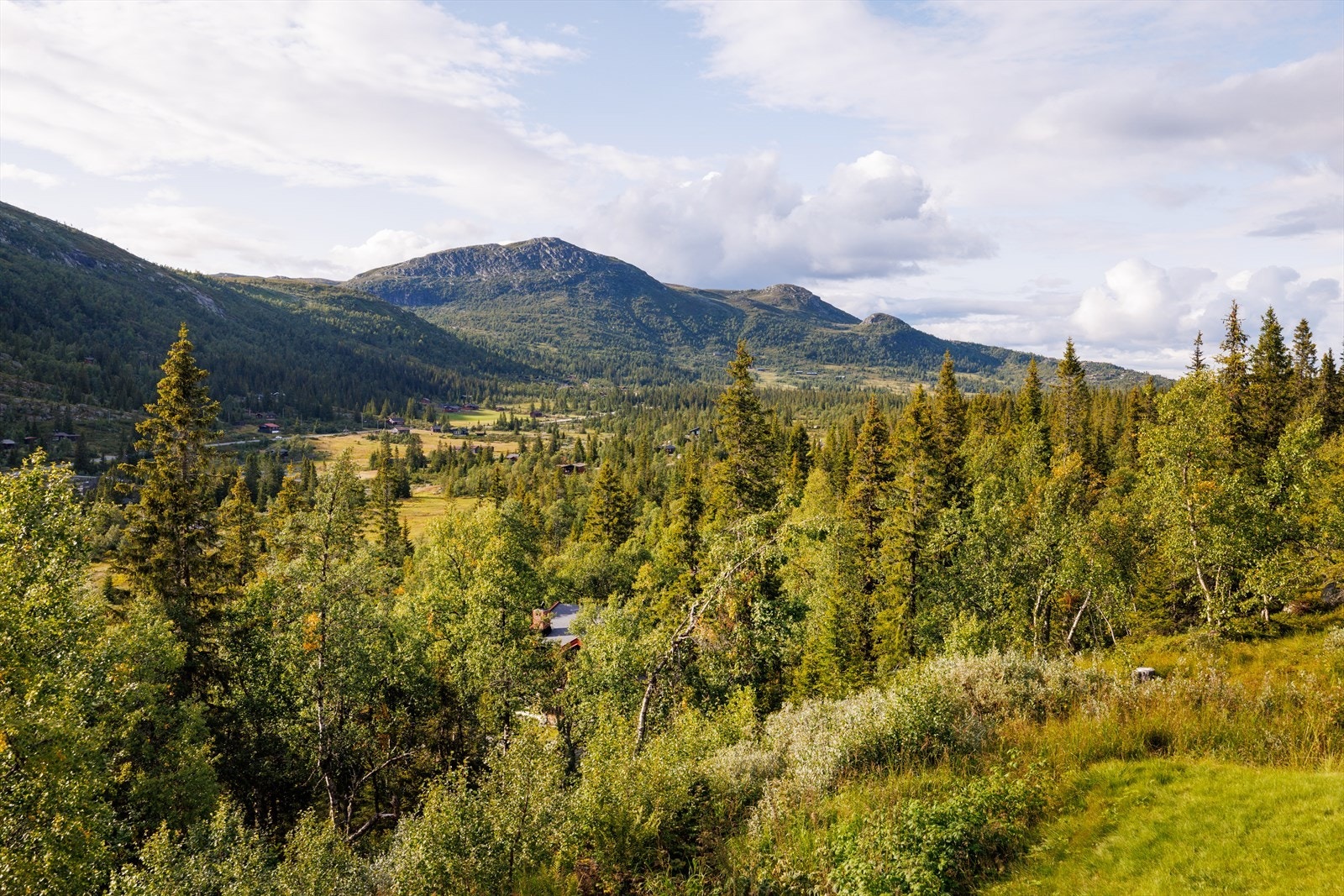 Her er det ikke innsyn, kun utsyn mot fjellheimen, Haglebunatten og den mektige Bergshammeren. Galleribilde