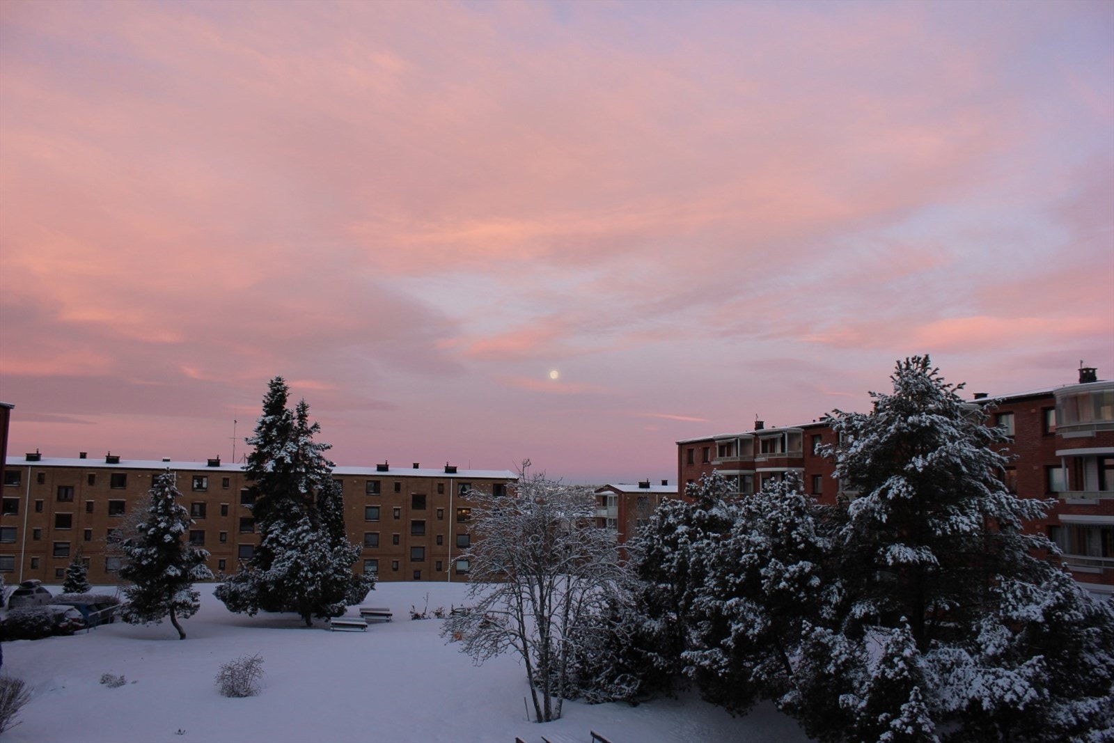 Hyggelig utsyn over borettslagets fellesarealer. (Personlig bilde) Galleribilde