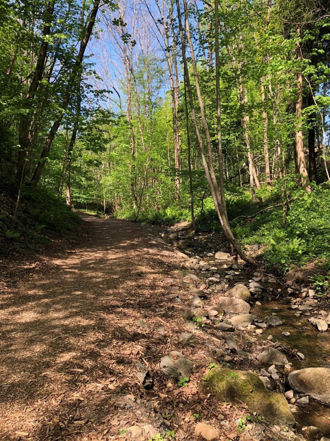 Mærredalen er en av mange turmuligheter i nærmiljøet Galleribilde