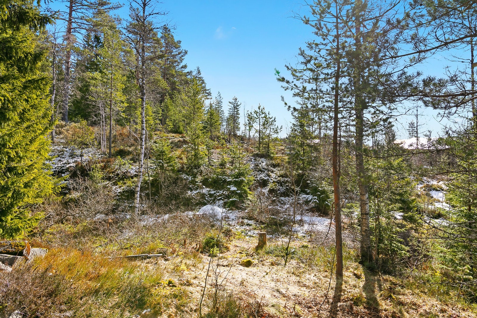 Tomta er en naturtomt som byr på lek og moro for både to- og firbente. Galleribilde