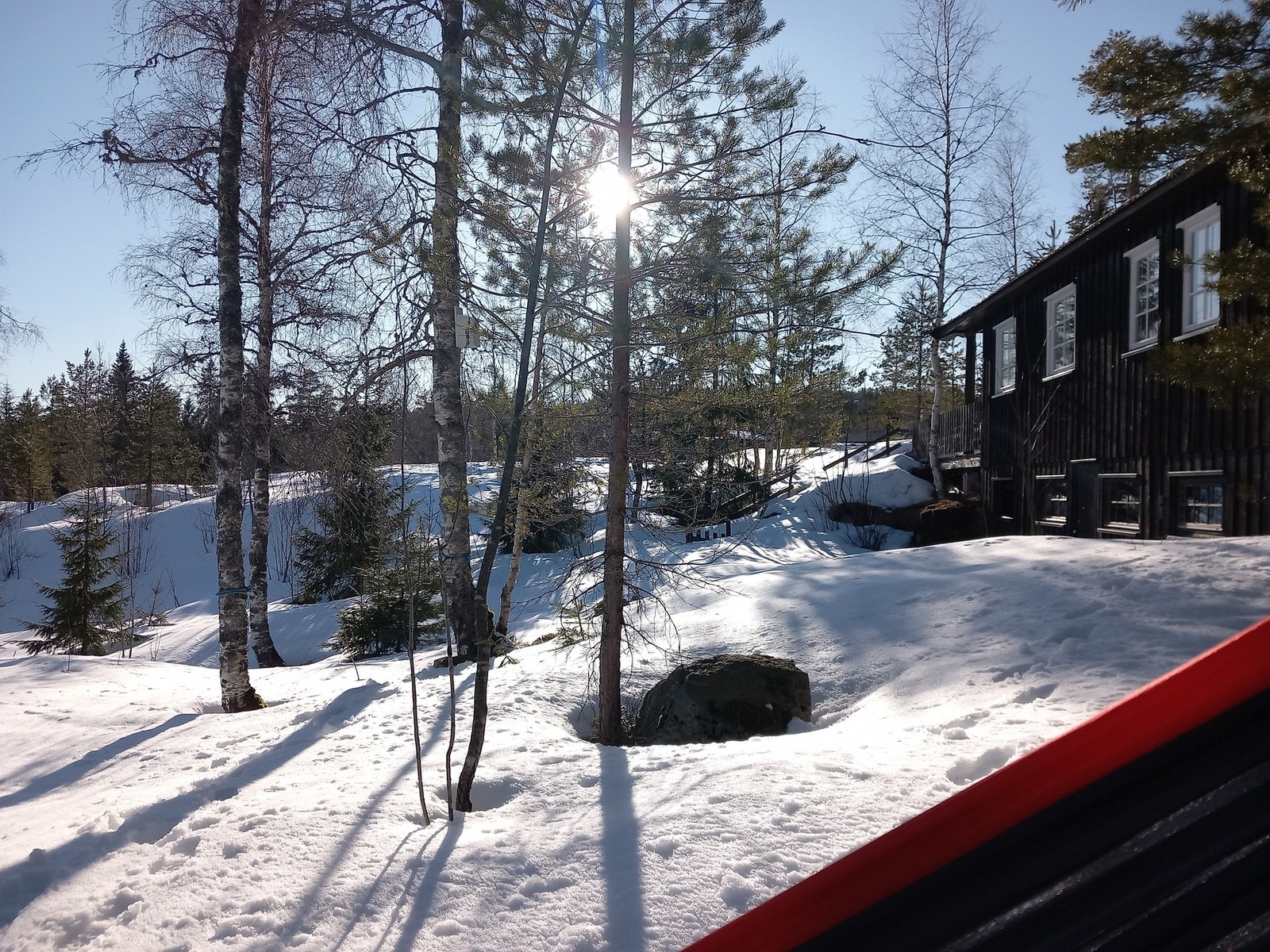 Selgers bilde. Galleribilde