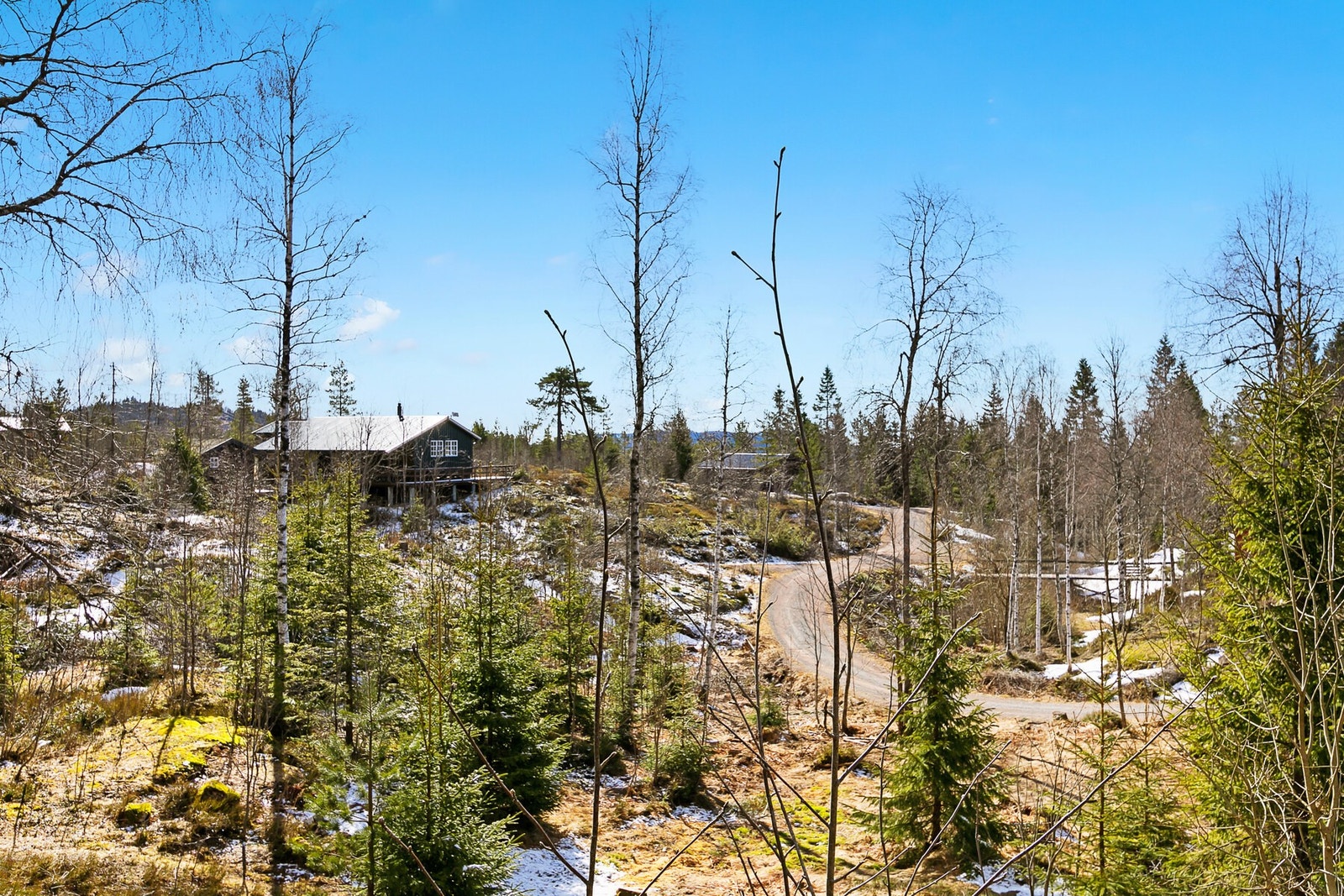 Hyttas omgivelser. Galleribilde