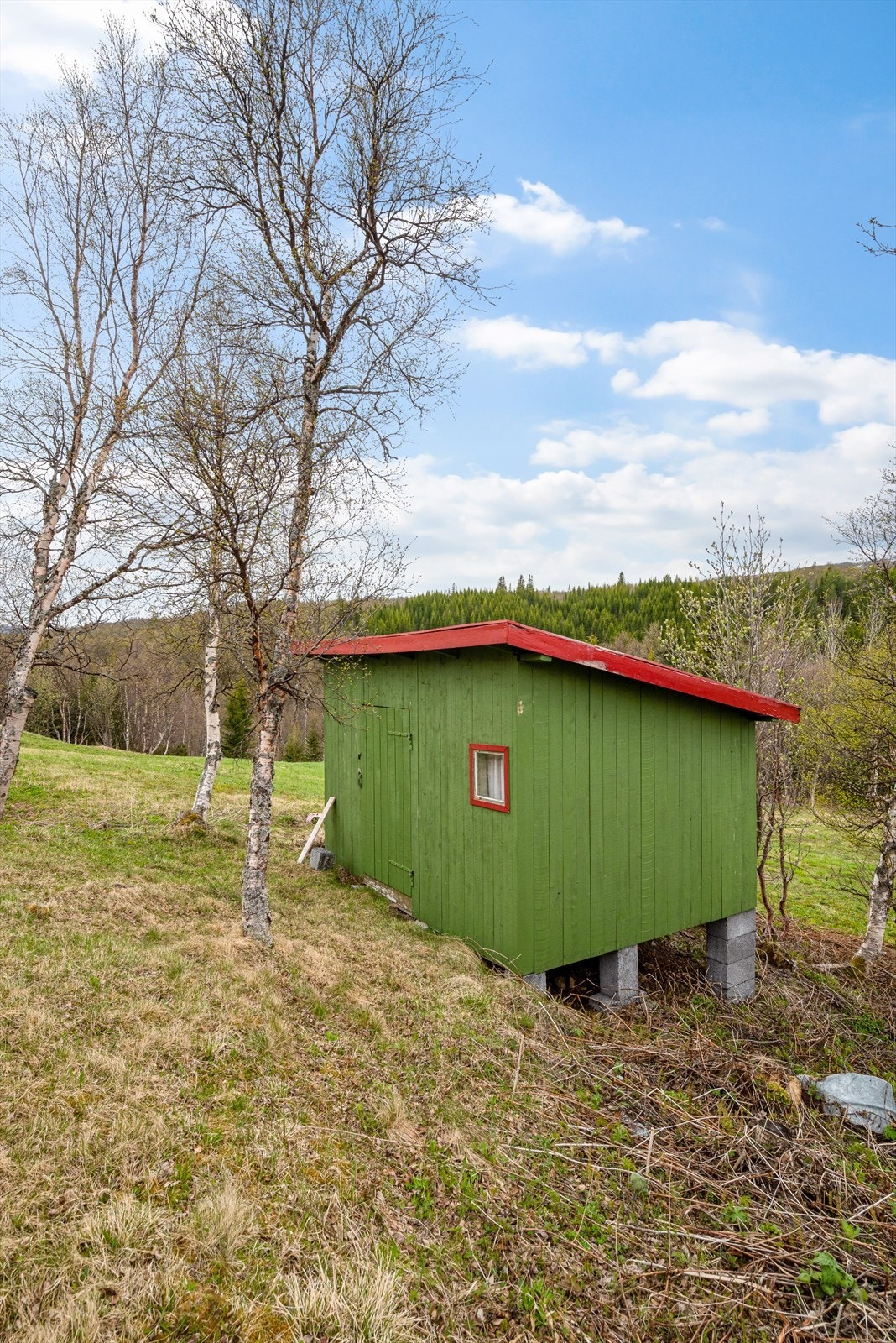 Et eget uthus er praktisk for ekstra lagringsplass. Galleribilde