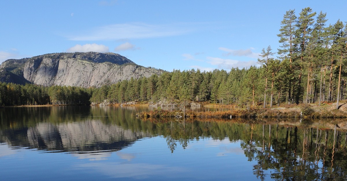 Vannet nedenfor hyttene Galleribilde