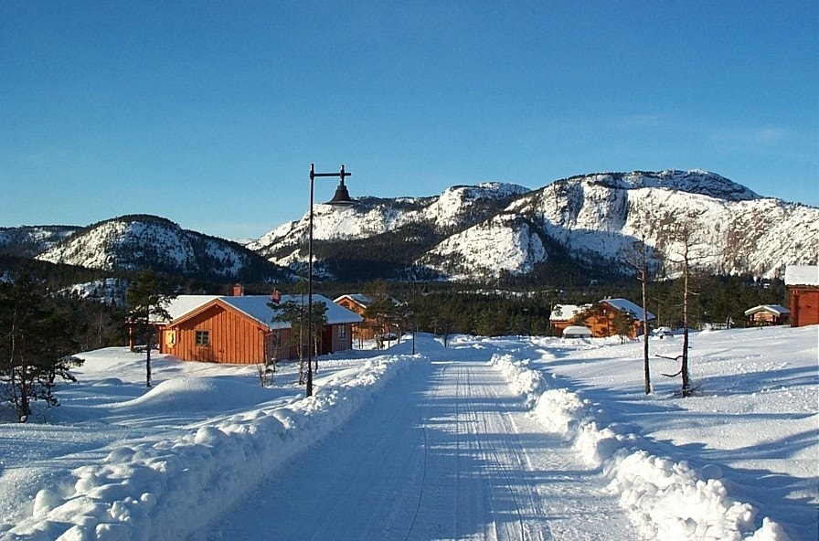 Vinter på Solheia Galleribilde