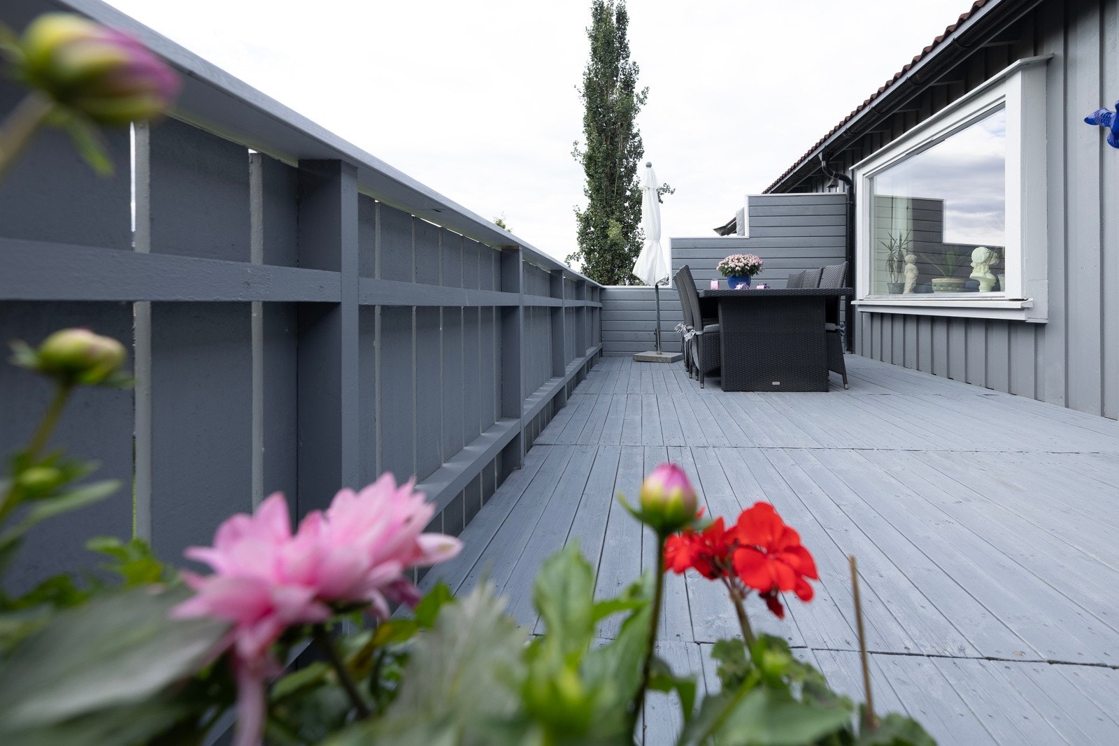 Terrassen Galleribilde